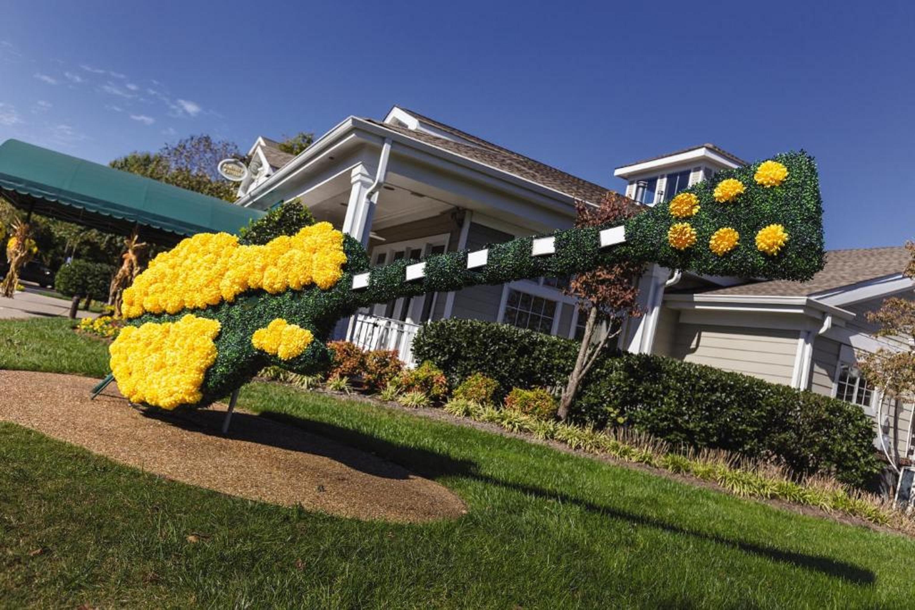 Club Wyndham Nashville Zewnętrze zdjęcie